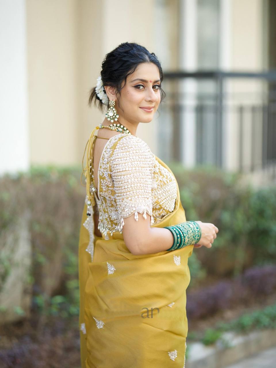 Golden Grace Embroidered Lace Charm Saree