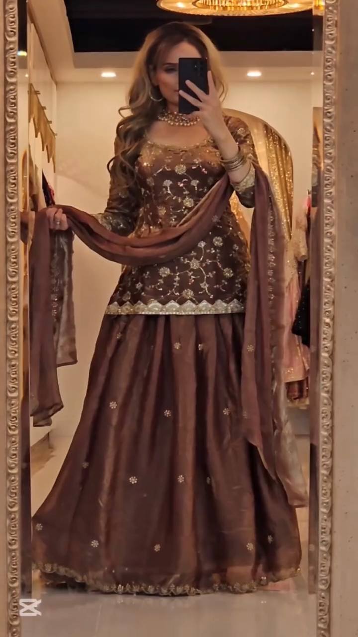 Elegant Mocha Velvet Embroidered Lehenga Set with Dupatta