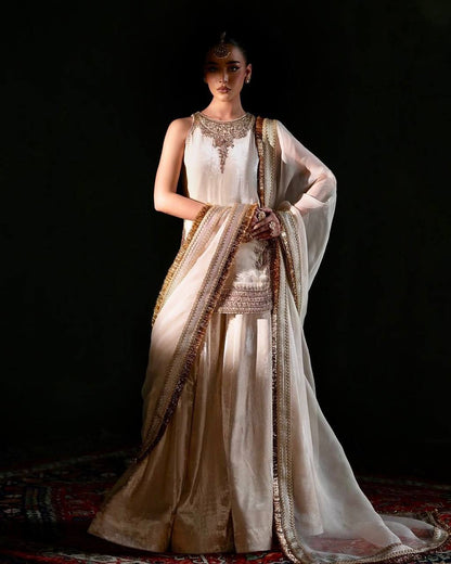 Maelira’s Opulent Designer Velvet Sharara Suit