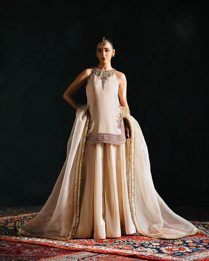 Maelira’s Opulent Designer Velvet Sharara Suit