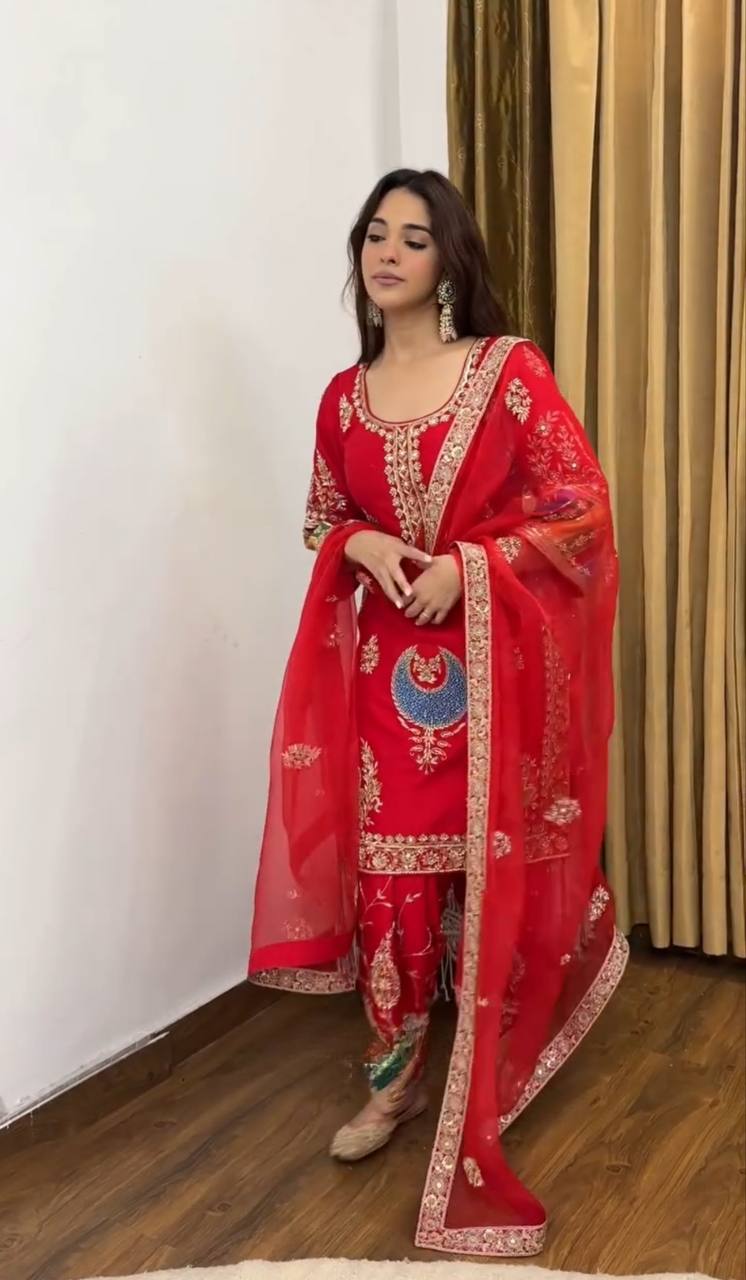 Scarlet Royalty Handcrafted Embroidered Punjabi Suit Set