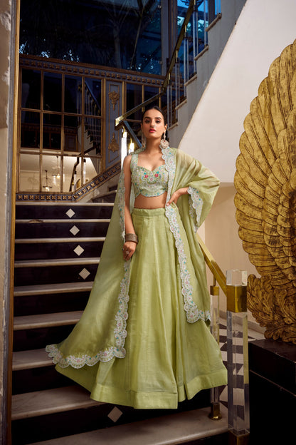 Moonlit Ivory & Frosted Silver Lehenga Choli