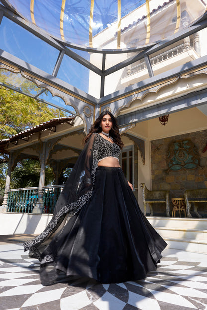 Farisha Black Tradition Graceful Style Lehenga
