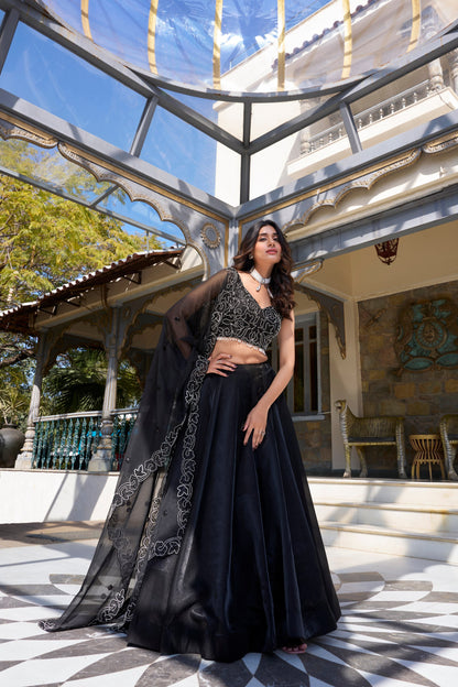 Farisha Black Tradition Graceful Style Lehenga