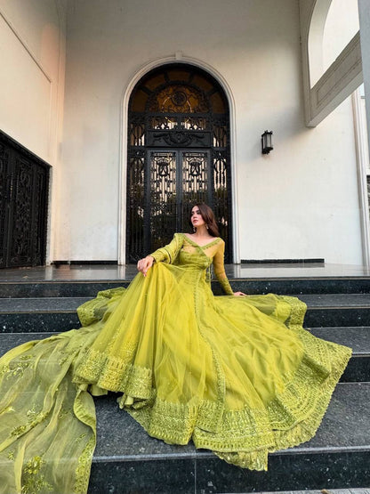 Miesha Butterfly net Designer Party Wear Gown Set