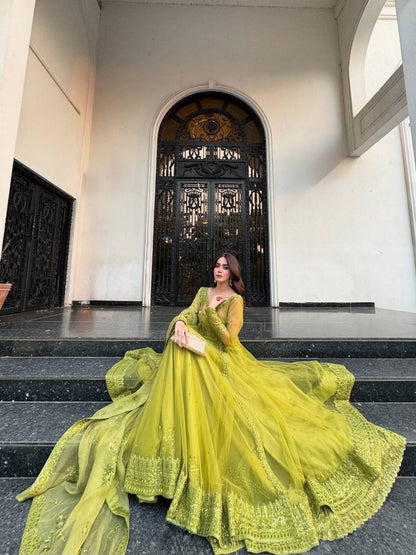 Miesha Butterfly net Designer Party Wear Gown Set