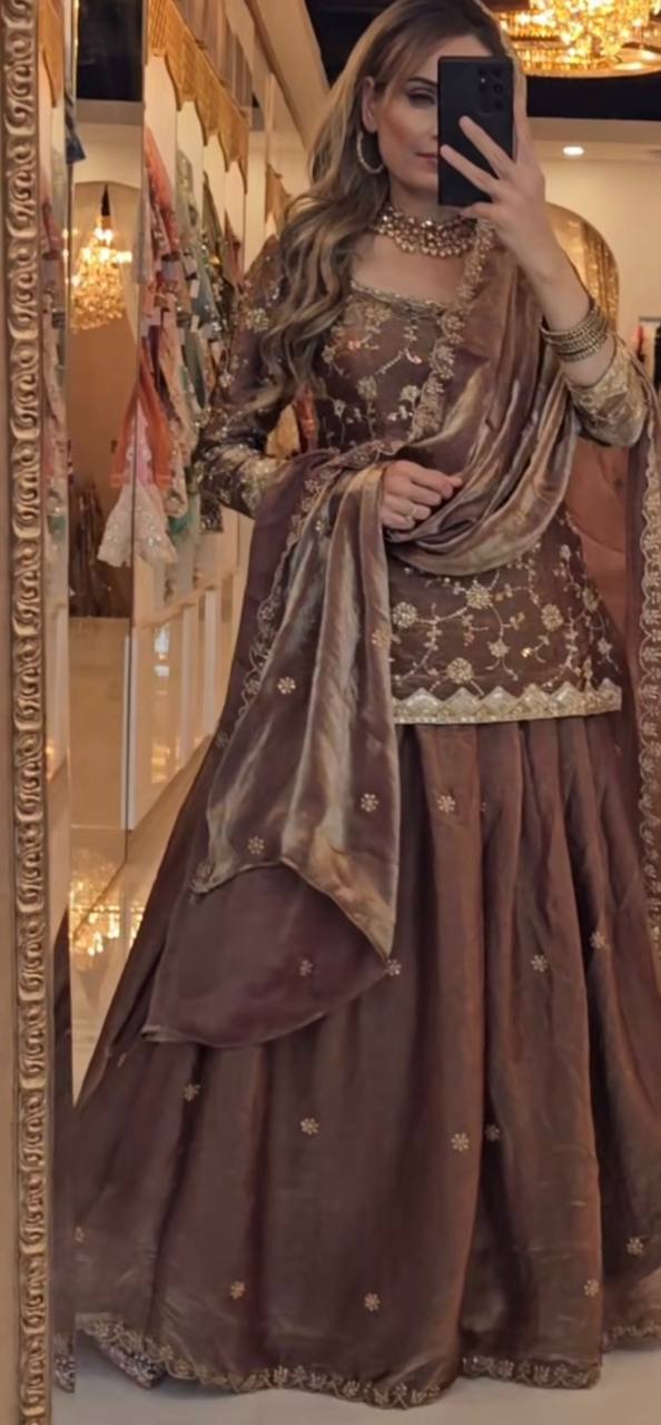 Elegant Mocha Velvet Embroidered Lehenga Set with Dupatta