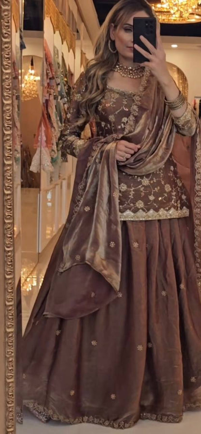 Elegant Mocha Velvet Embroidered Lehenga Set with Dupatta