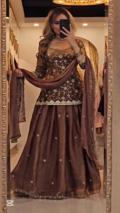 Elegant Mocha Velvet Embroidered Lehenga Set with Dupatta